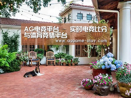 客户案例标题九
