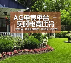 AG电竞平台 - 实时电竞比分与体育竞猜平台
