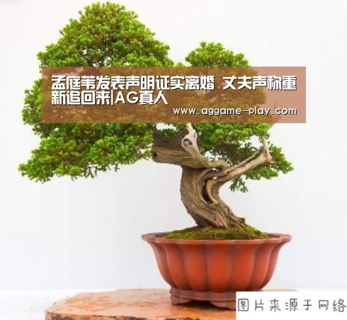 AG视讯