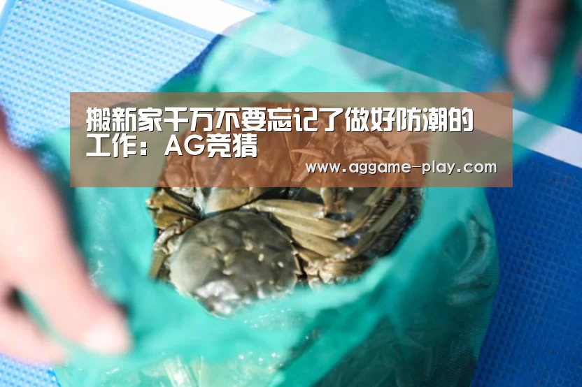 搬新家千万不要忘记了做好防潮的工作:AG竞猜(图1) AG视讯