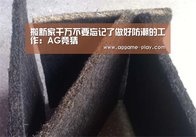 搬新家千万不要忘记了做好防潮的工作:AG竞猜(图2) AG竞猜