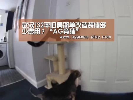 AG视讯