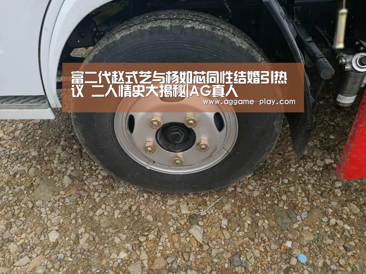 富二代赵式芝与杨如芯同性结婚引热议 二人情史大揭秘|AG真人(图3) AG入口